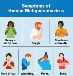 hmpv virus symptoms