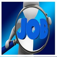 job news